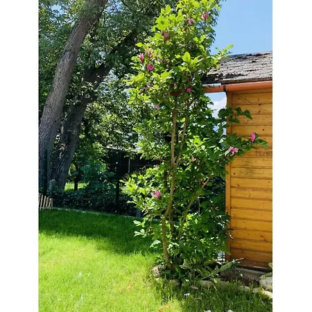 Apartmán Bernhard Schmidt-gasse Gmunden