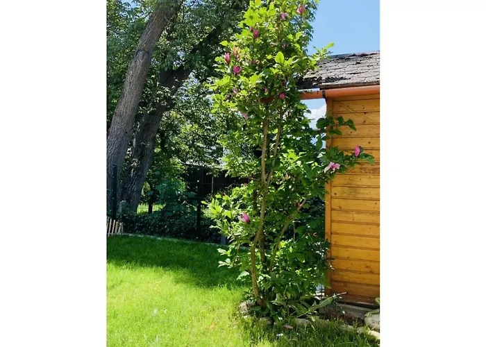 Apartmán Bernhard Schmidt-gasse Gmunden